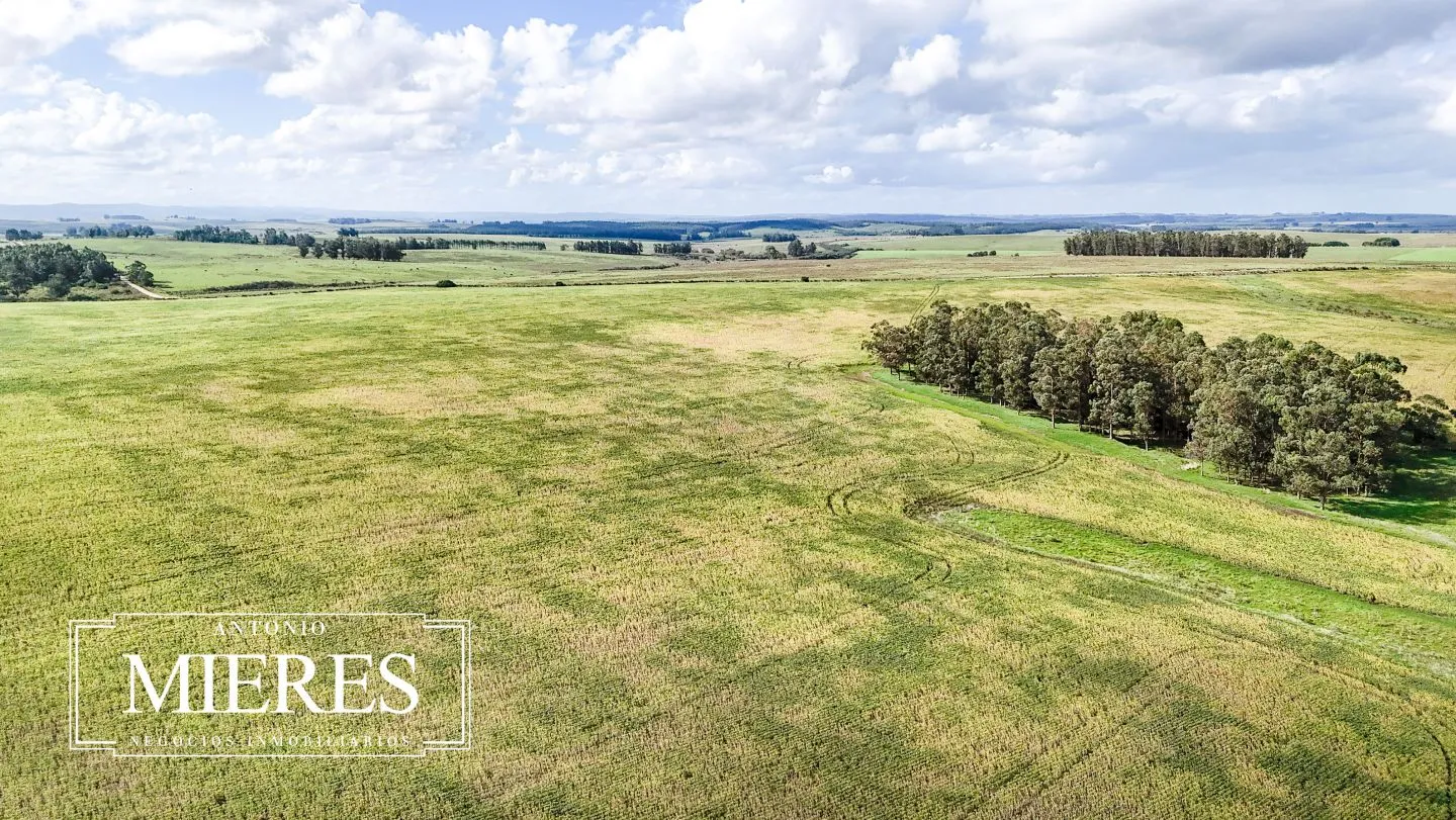 campo en venta en Punta del Este — foto 60