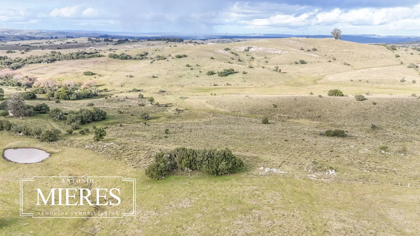 Chacra de 10ha en las sierras de Maldonado — foto 26