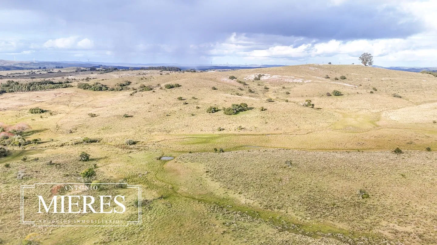 Chacra de 10ha en las sierras de Maldonado — foto 27