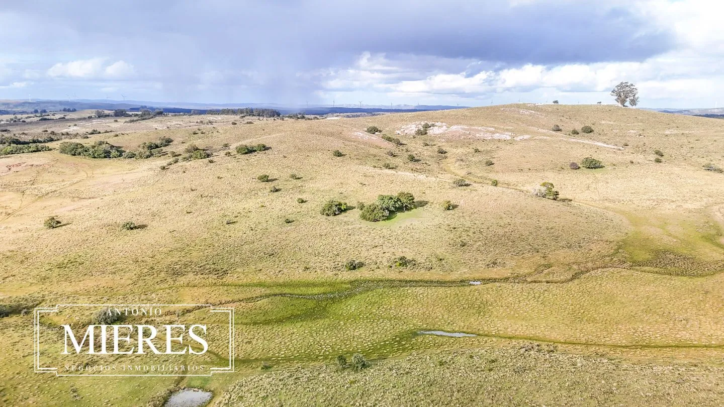 Chacra de 10ha en las sierras de Maldonado — foto 28