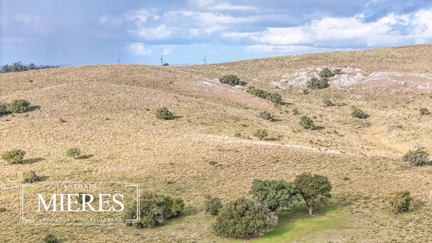 Chacra de 10ha en las sierras de Maldonado — foto 29
