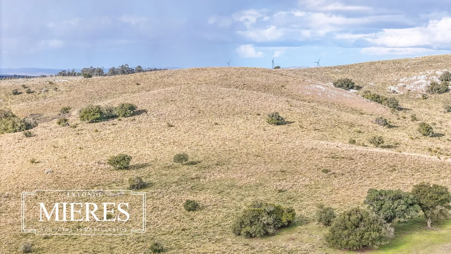 Chacra de 10ha en las sierras de Maldonado — foto 30