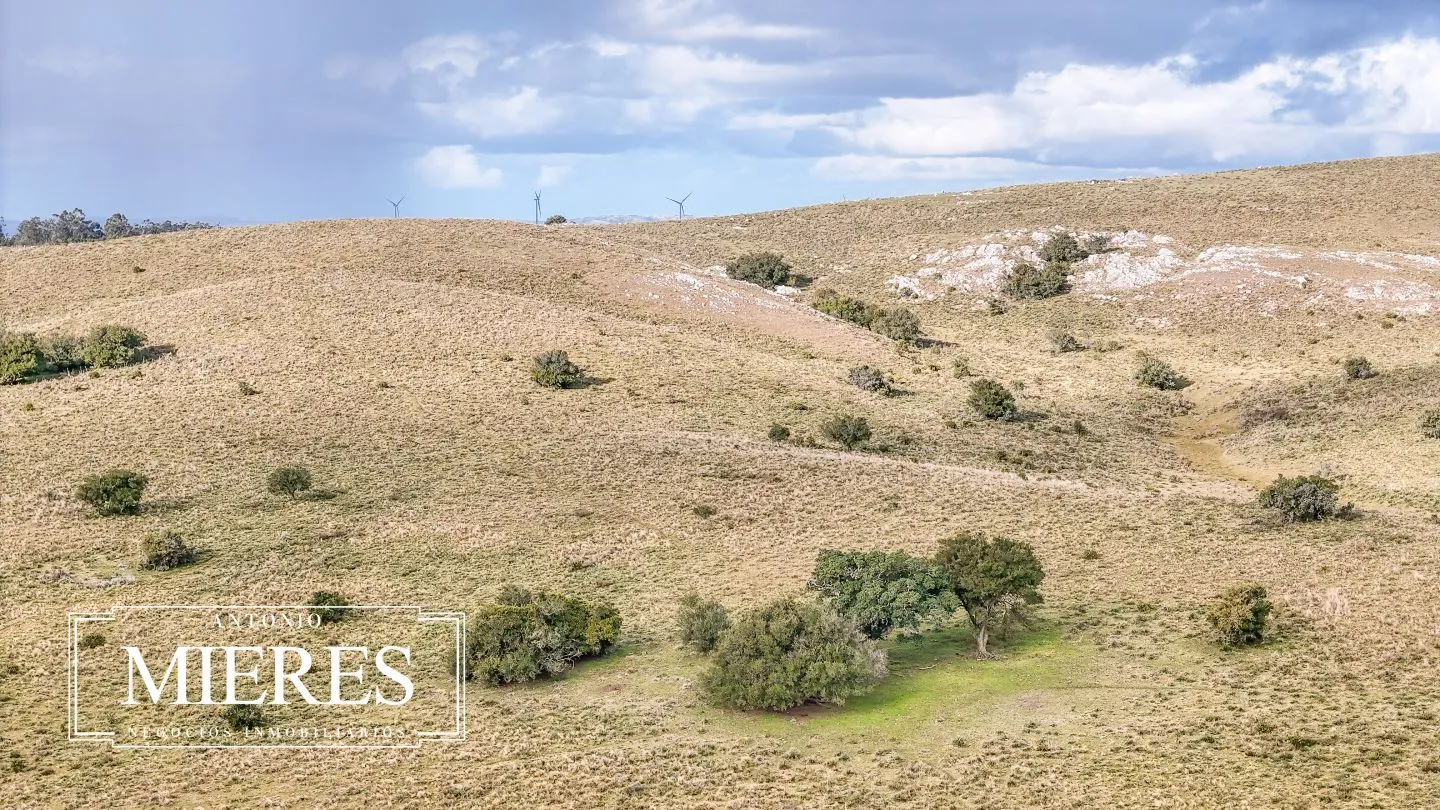 Chacra de 10ha en las sierras de Maldonado — foto 31