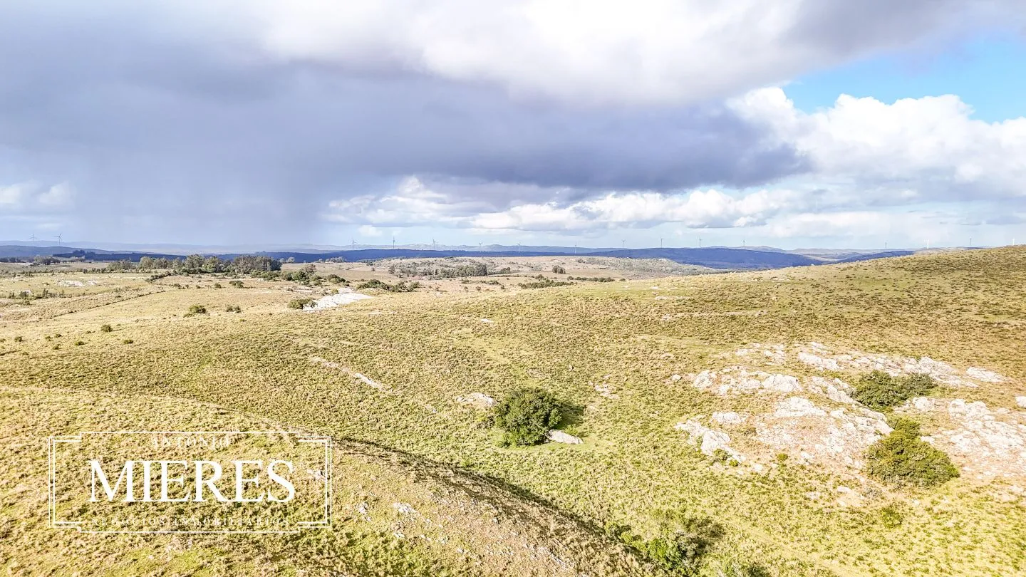 Chacra de 10ha en las sierras de Maldonado — foto 32