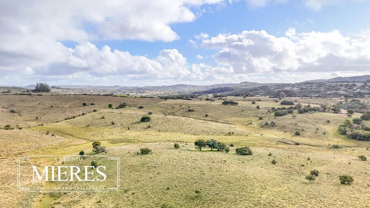 Chacra de 10ha en las sierras de Maldonado — foto 33