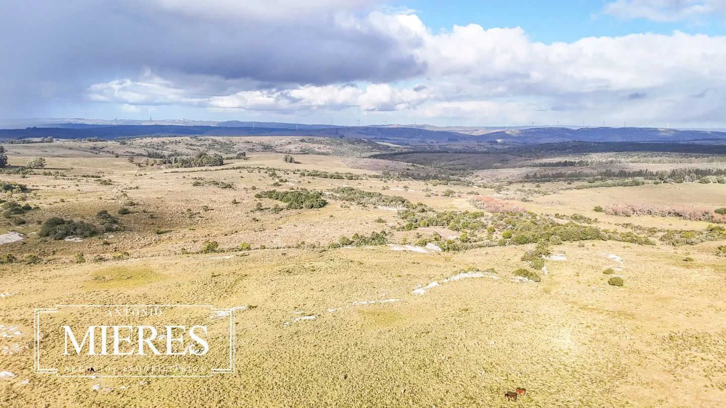 Chacra de 10ha en las sierras de Maldonado — foto 36