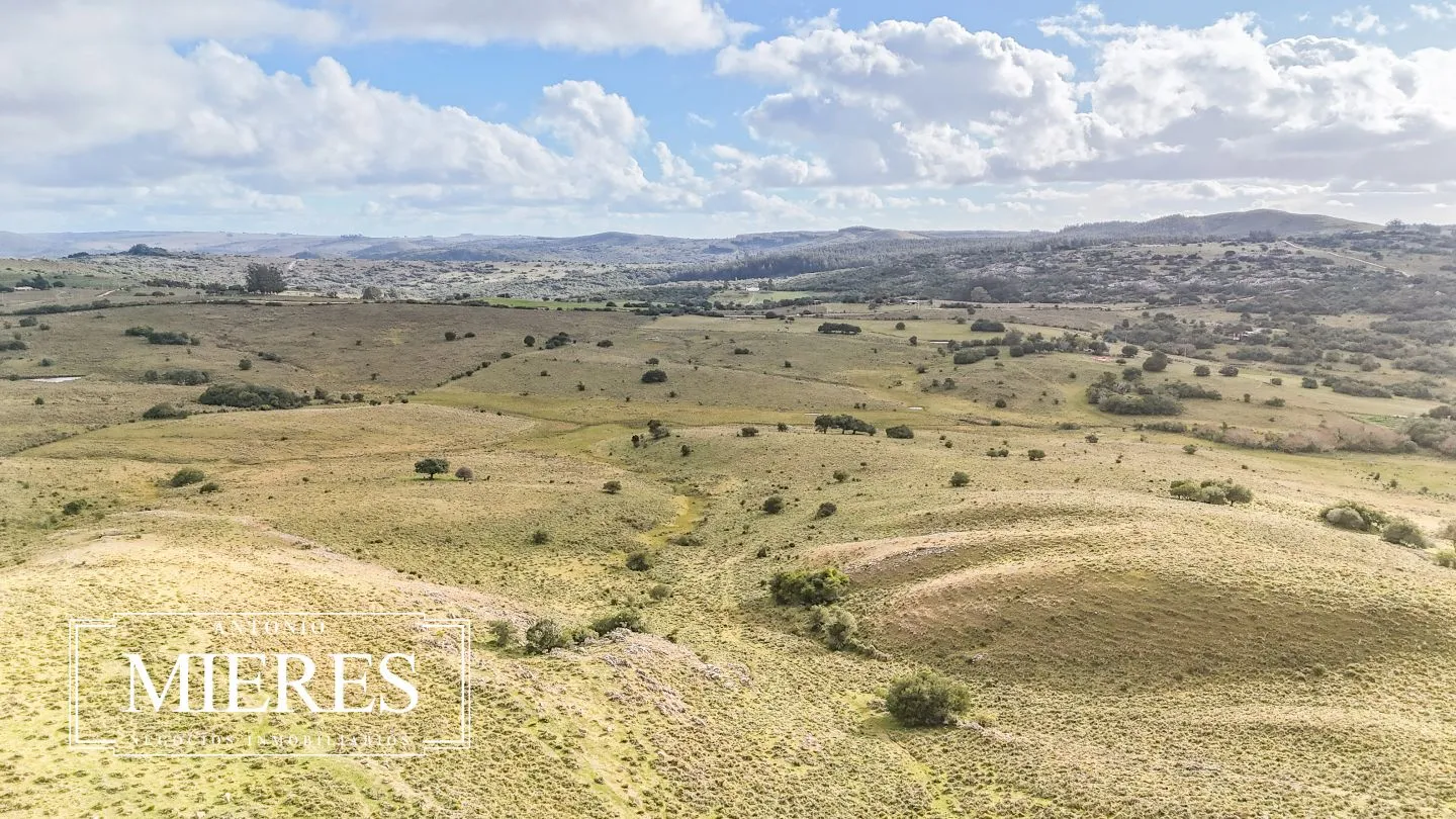 Chacra de 10ha en las sierras de Maldonado — foto 37