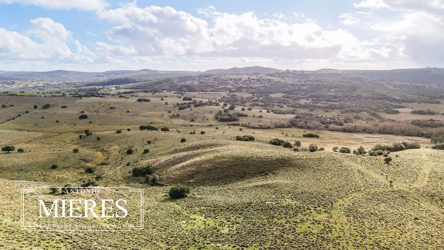 Chacra de 10ha en las sierras de Maldonado — foto 38