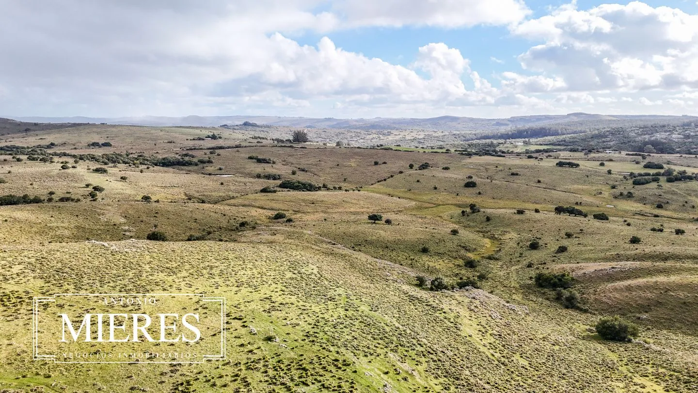 Chacra de 10ha en las sierras de Maldonado — foto 39