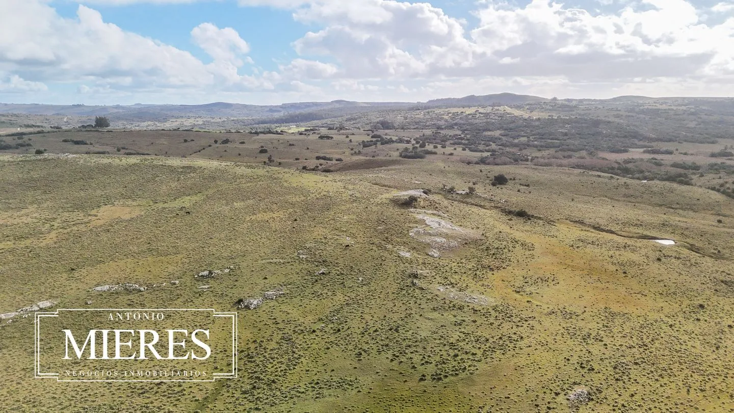 Chacra de 10ha en las sierras de Maldonado — foto 41
