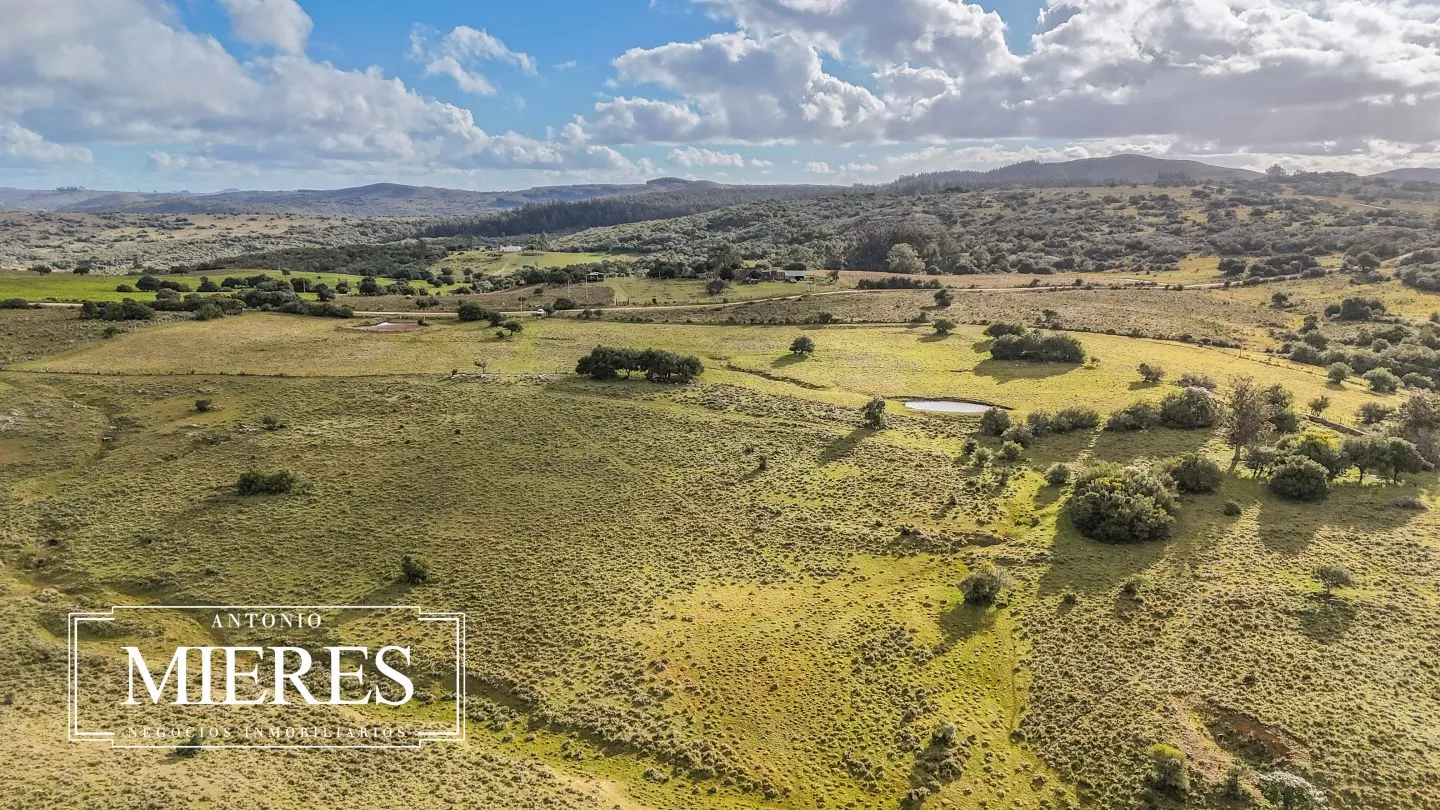 Chacra de 10ha en las sierras de Maldonado — foto 44