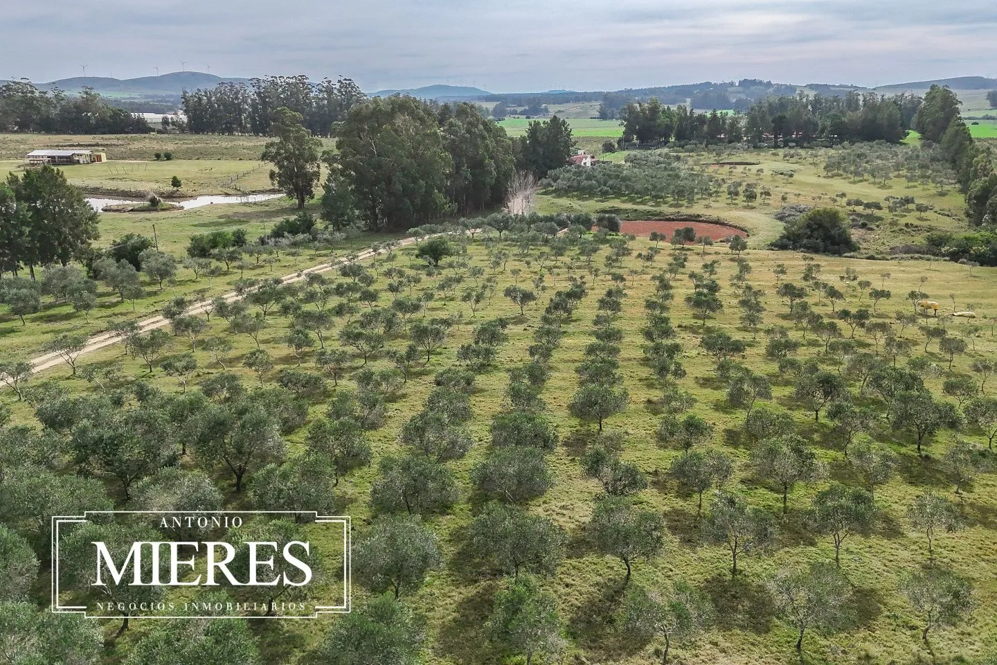 Chacra con casa en venta 5dorm en exclusividad ref 6786 — foto 1
