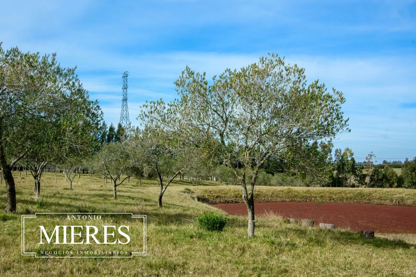 Chacra con casa en venta 5dorm en exclusividad ref 6786 — foto 2
