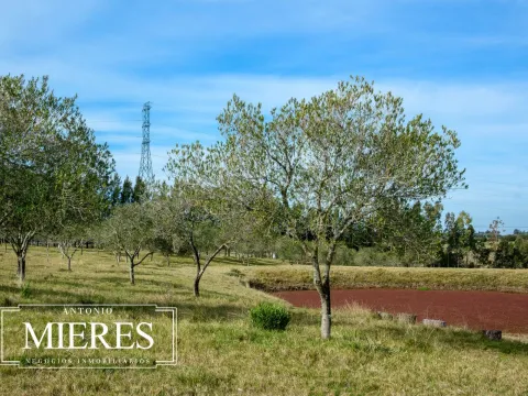Chacra con casa en venta 5dorm en exclusividad ref 6786 — foto 2