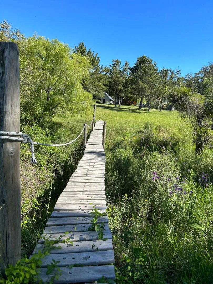 Divina chacra 15' de Jose Ignacio c/ playa de arroyo privado — foto 32