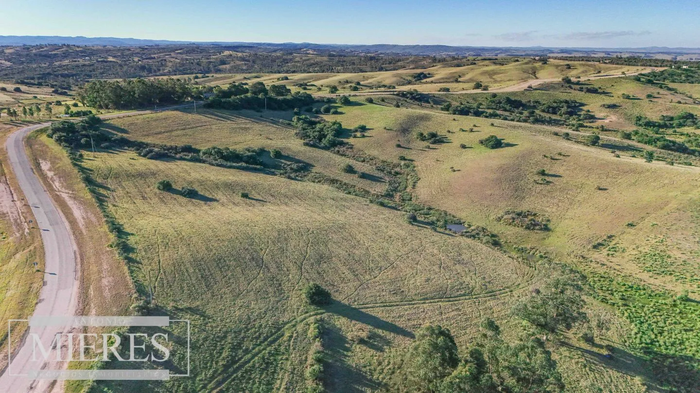 Venta de 2 chacras de 5has a 20' entre José Ignacio y Garzon. — foto 1