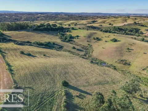 Venta de 2 chacras de 5has a 20' entre José Ignacio y Garzon.