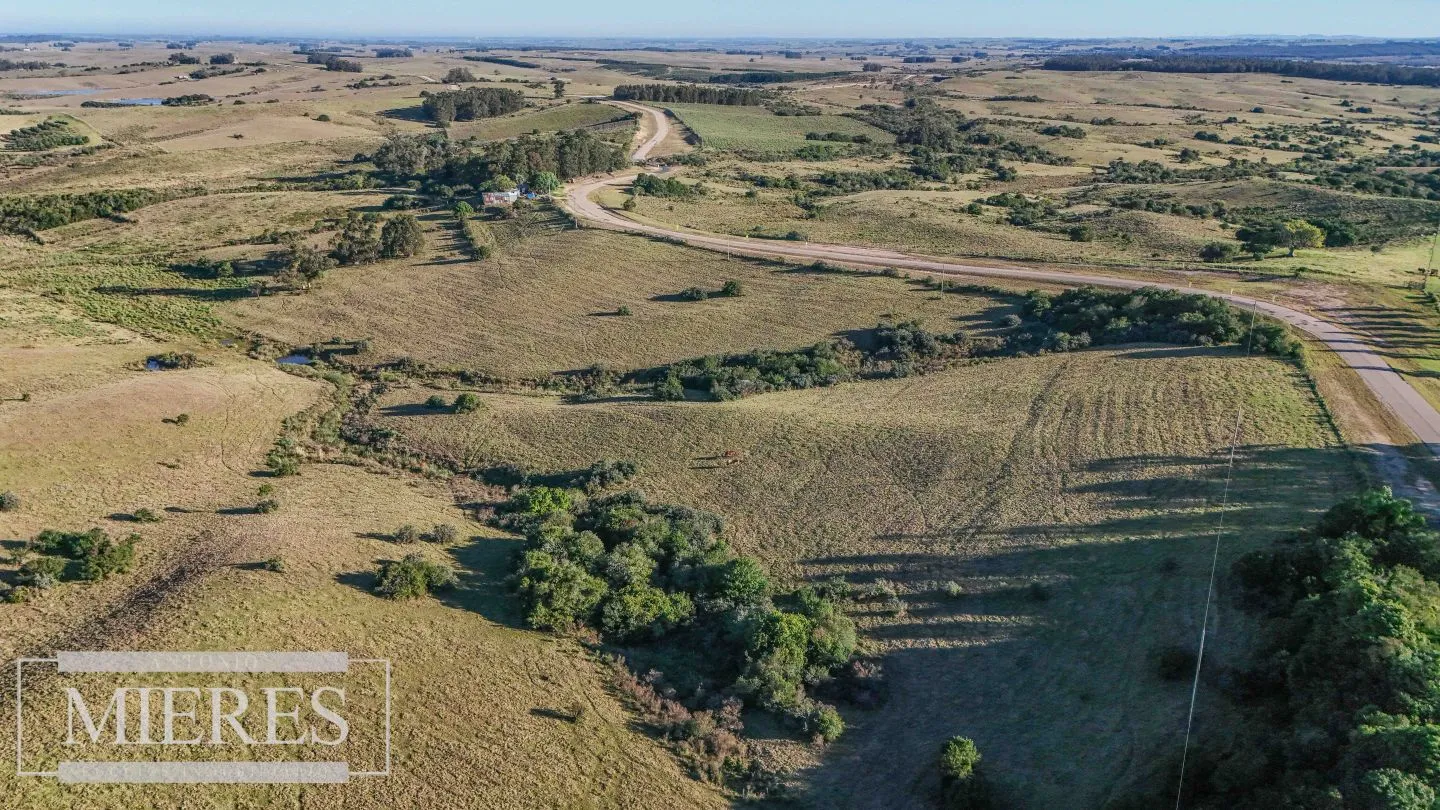 Venta de 2 chacras de 5has a 20' entre José Ignacio y Garzon. — foto 2