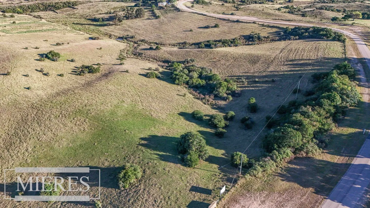Venta de 2 chacras de 5has a 20' entre José Ignacio y Garzon. — foto 3