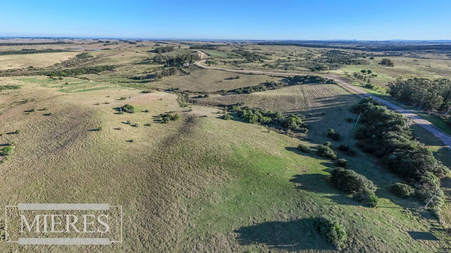 Venta de 2 chacras de 5has a 20' entre José Ignacio y Garzon. — foto 4