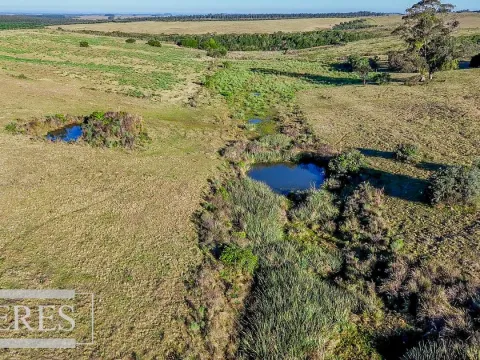 Venta de 2 chacras de 5has a 20' entre José Ignacio y Garzon. — foto 5