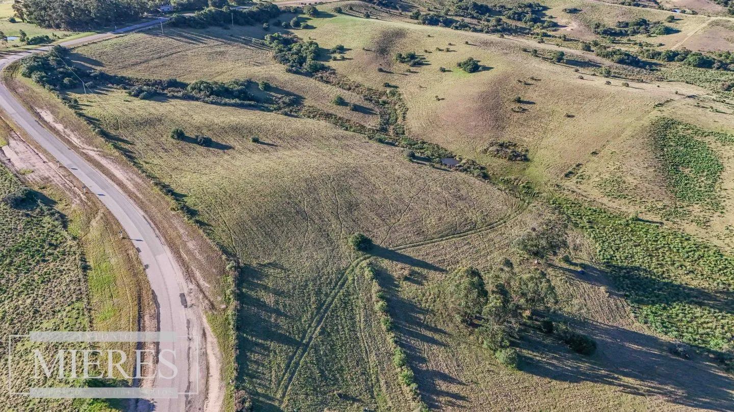 Venta de 2 chacras de 5has a 20' entre José Ignacio y Garzon. — foto 6