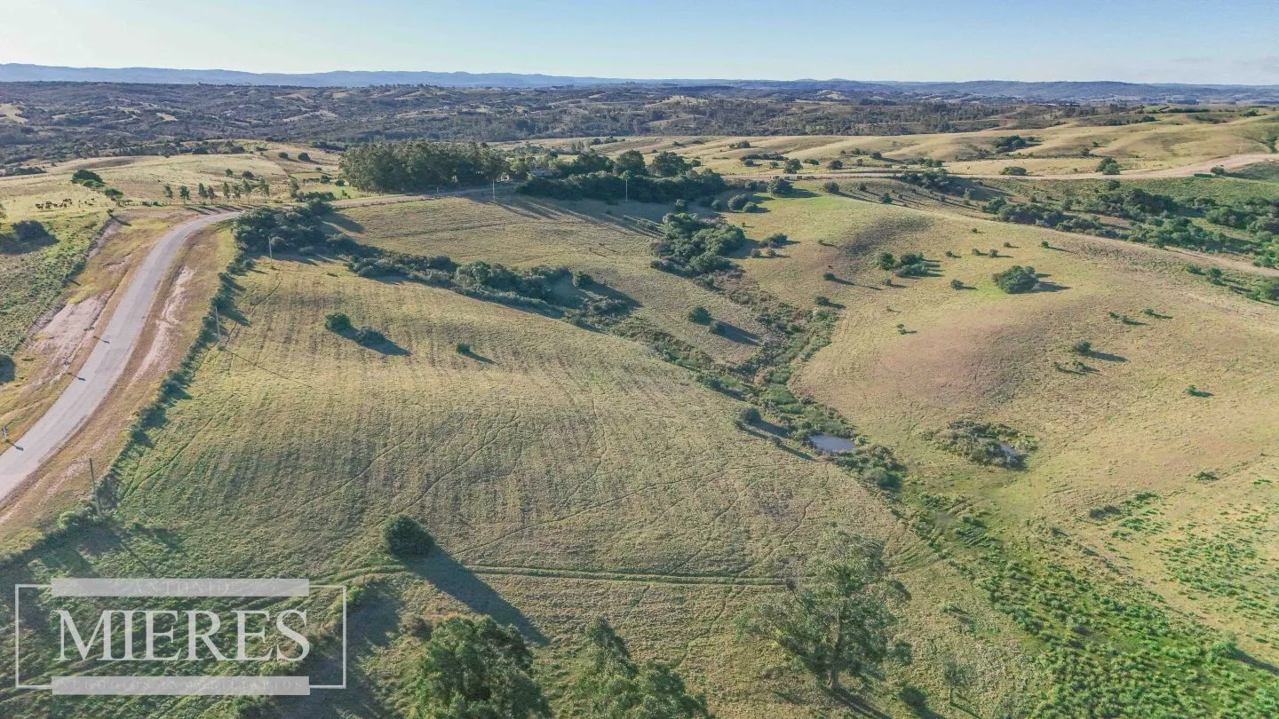 Venta de 2 chacras de 5has a 20' entre José Ignacio y Garzon. — foto 8