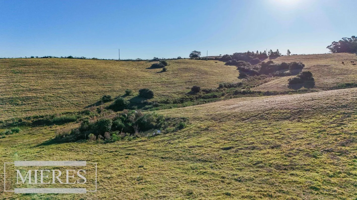 Venta de 2 chacras de 5has a 20' entre José Ignacio y Garzon. — foto 9