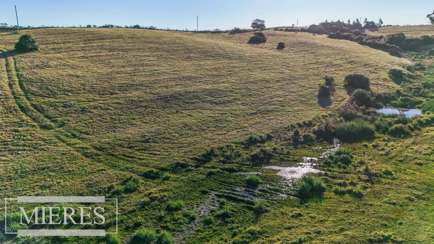Venta de 2 chacras de 5has a 20' entre José Ignacio y Garzon. — foto 11