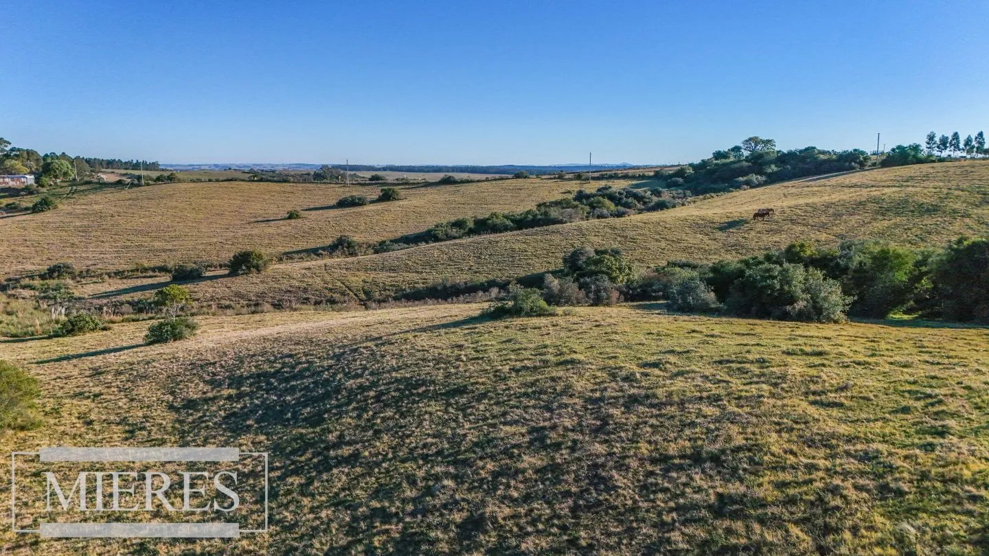 Venta de 2 chacras de 5has a 20' entre José Ignacio y Garzon. — foto 14