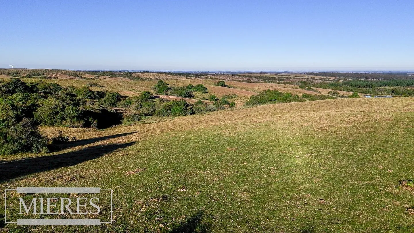 Venta de 2 chacras de 5has a 20' entre José Ignacio y Garzon. — foto 15