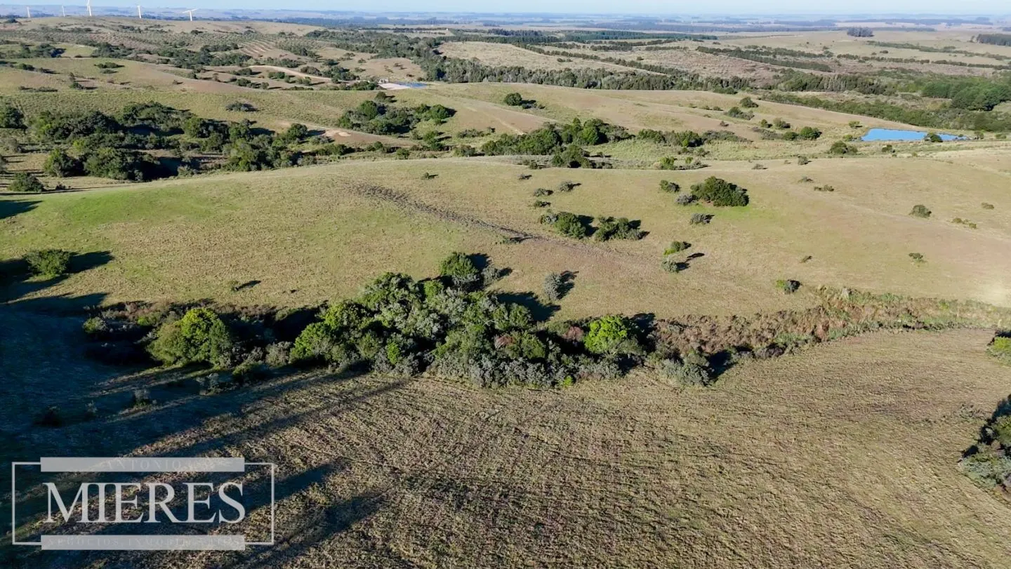 Venta de 2 chacras de 5has a 20' entre José Ignacio y Garzon. — foto 19