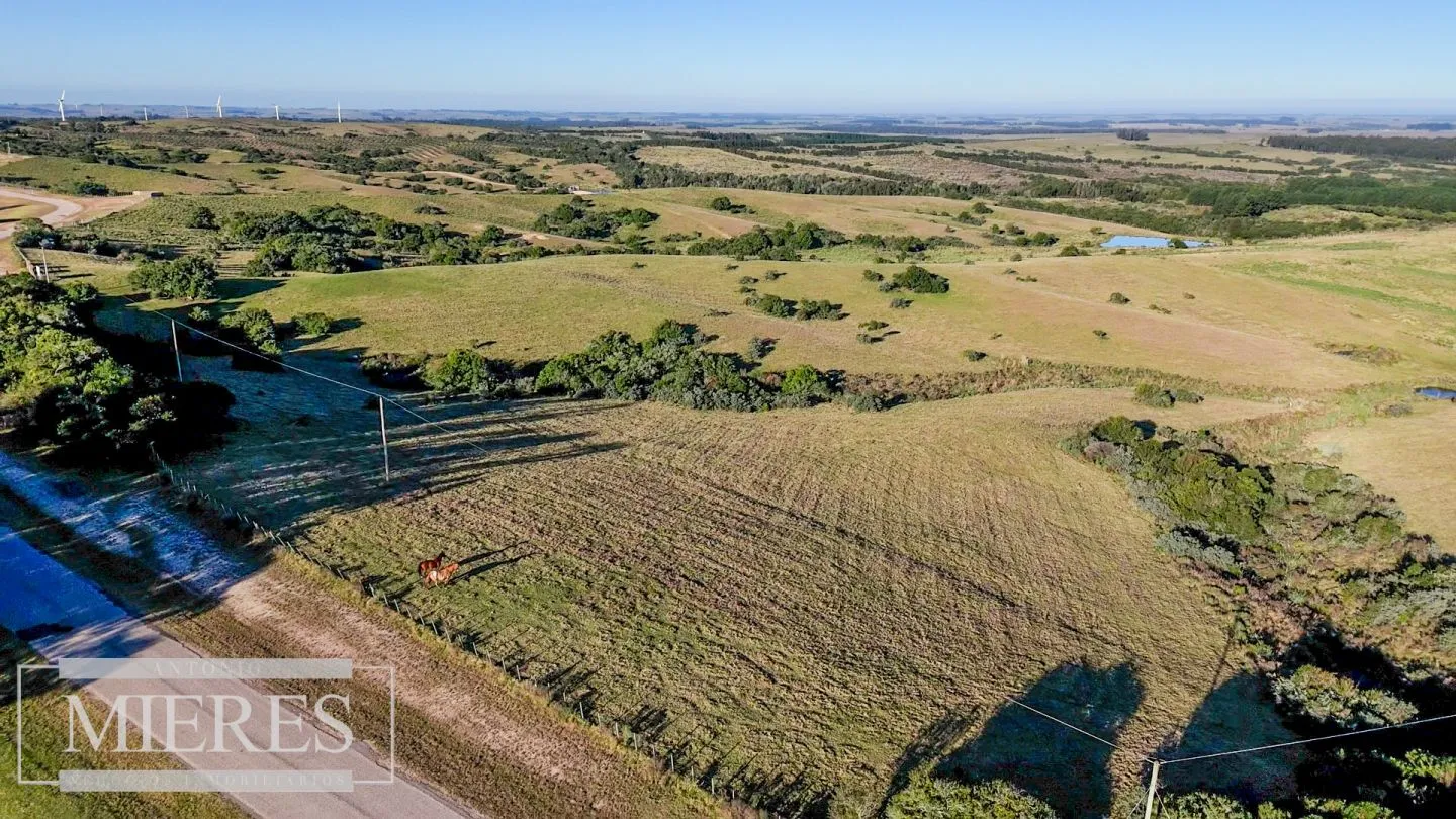 Venta de 2 chacras de 5has a 20' entre José Ignacio y Garzon. — foto 20