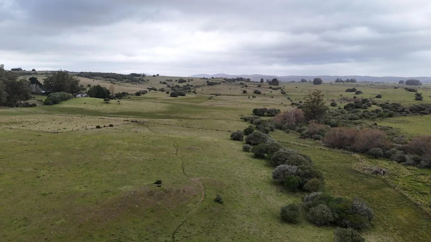 Chacra de 32ha con casa y lagos  en Pueblo Eden — foto 3