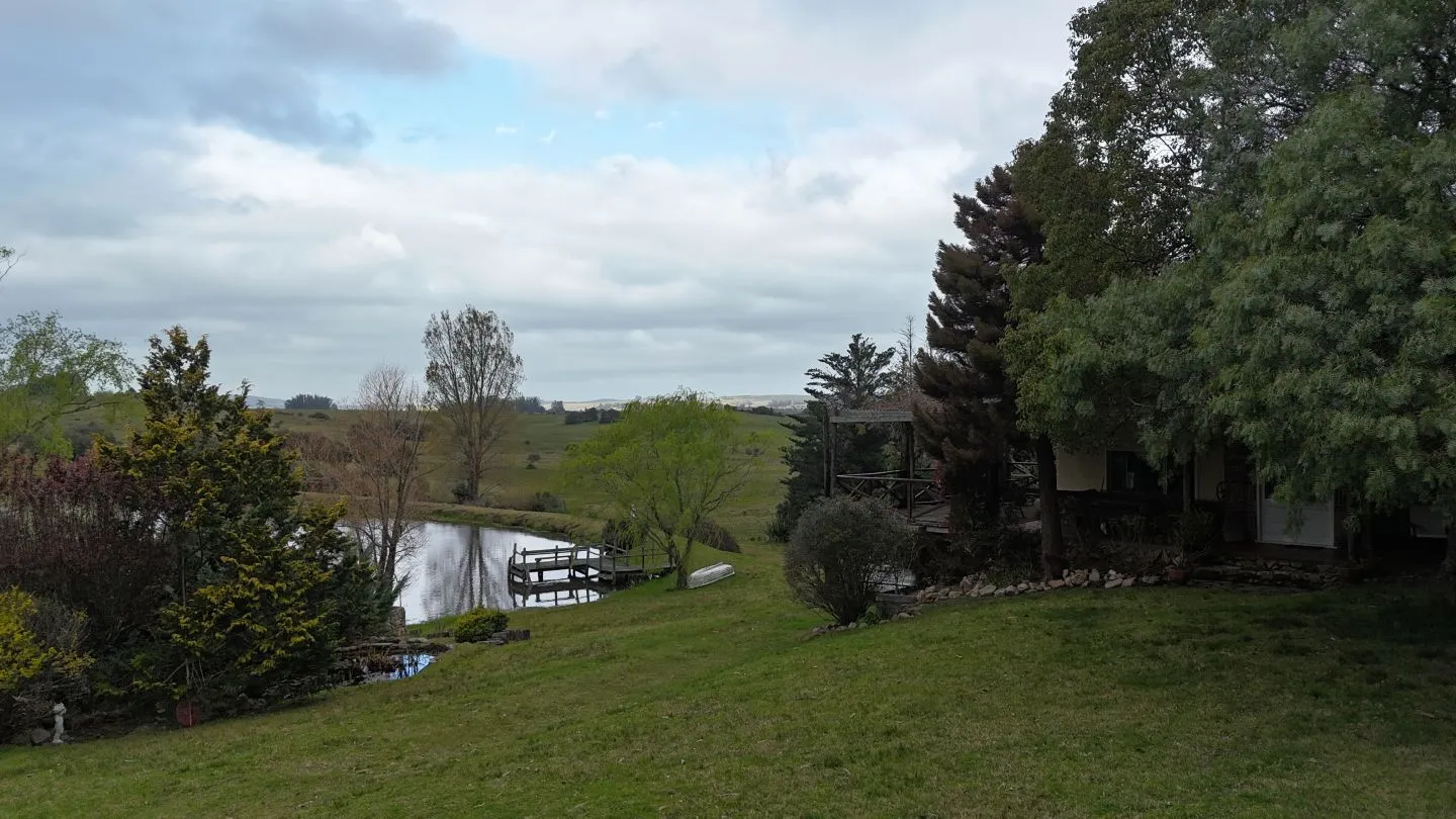 Chacra de 32ha con casa y lagos  en Pueblo Eden — foto 9