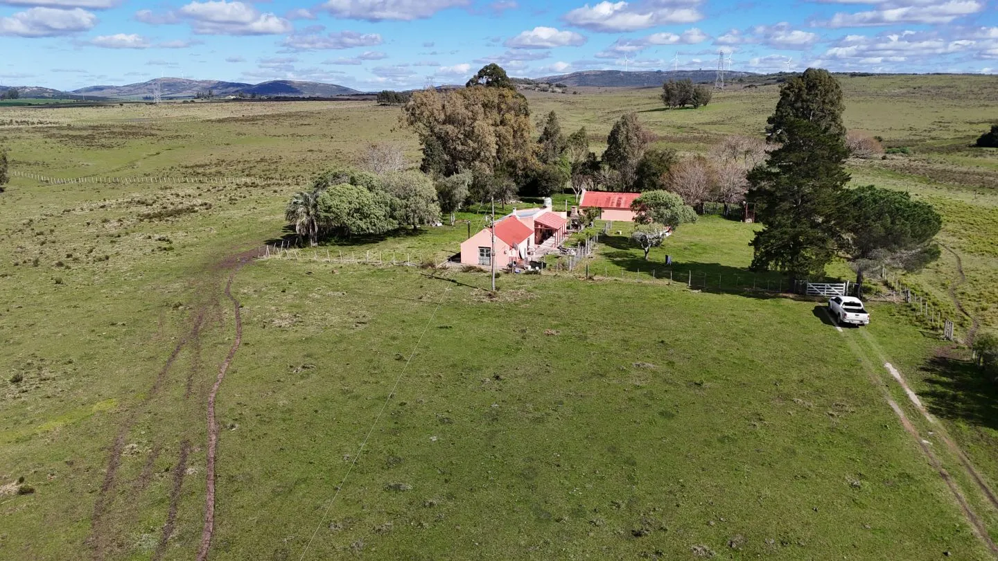 Campo en venta de 57 ha en Paso Dutra Maldonado Uruguay. — foto 2