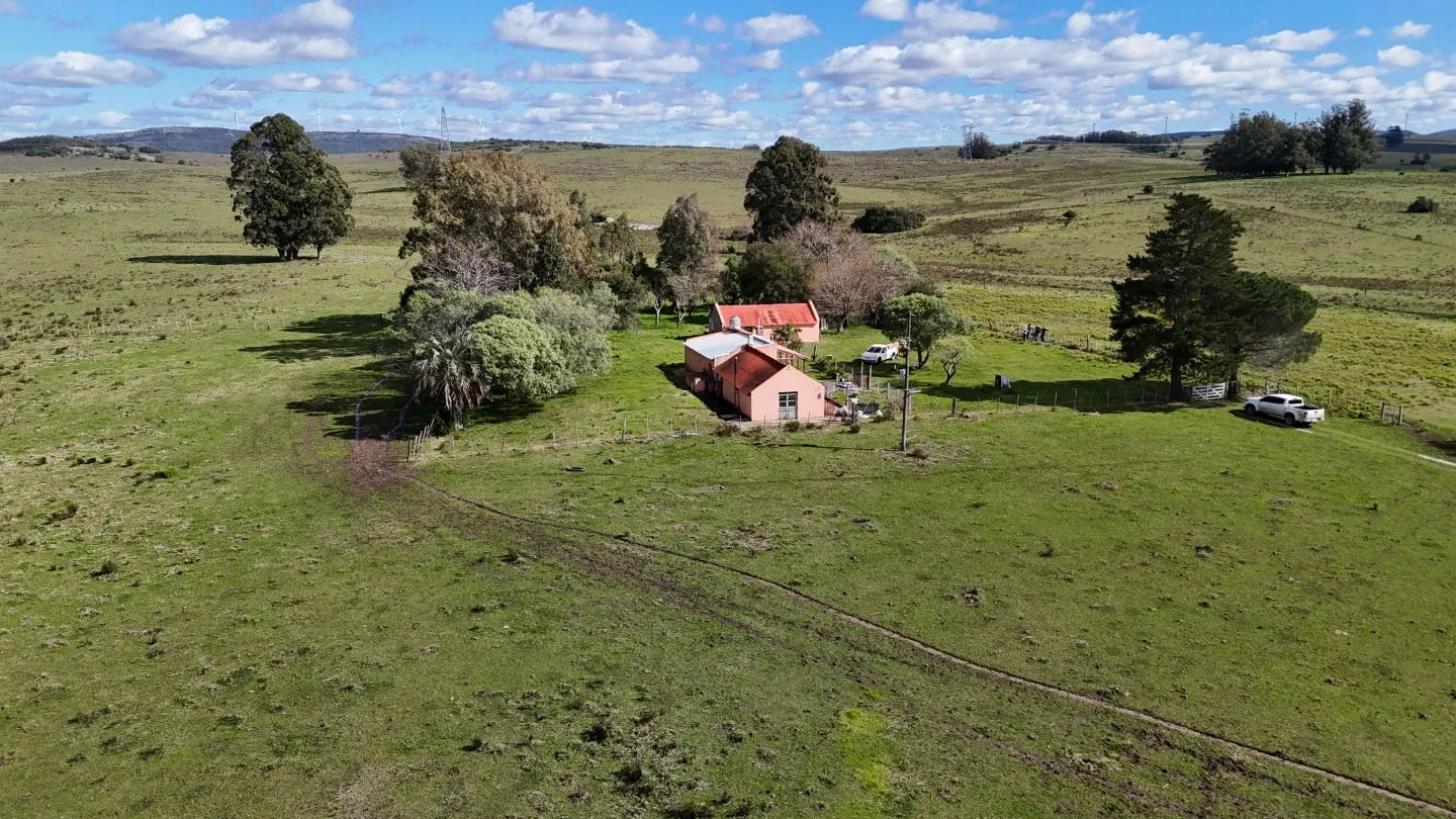 Campo en venta de 57 ha en Paso Dutra Maldonado Uruguay. — foto 3