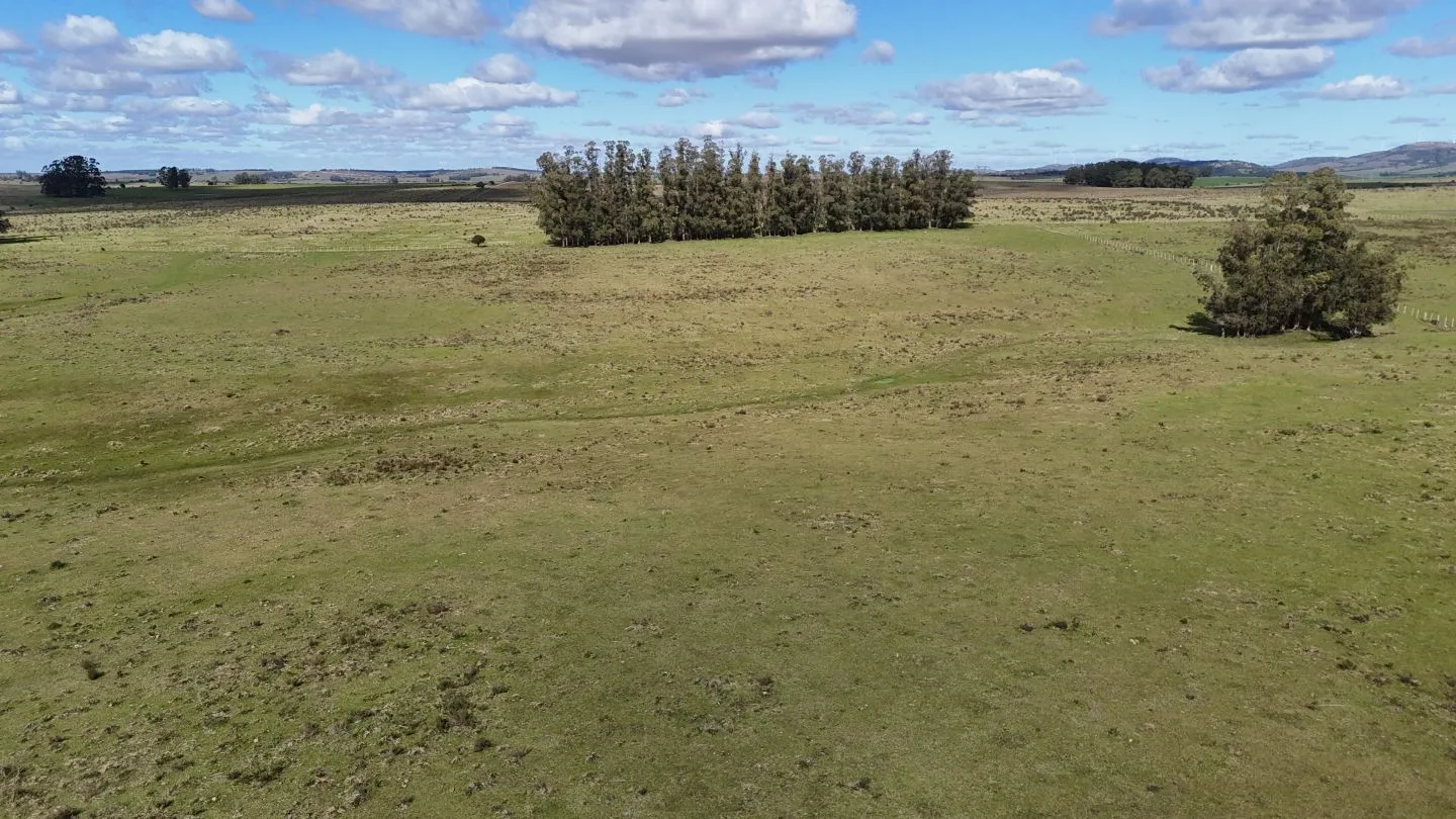 Campo en venta de 57 ha en Paso Dutra Maldonado Uruguay. — foto 4