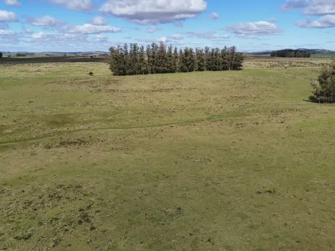 Campo en venta de 57 ha en Paso Dutra Maldonado Uruguay. — foto 4