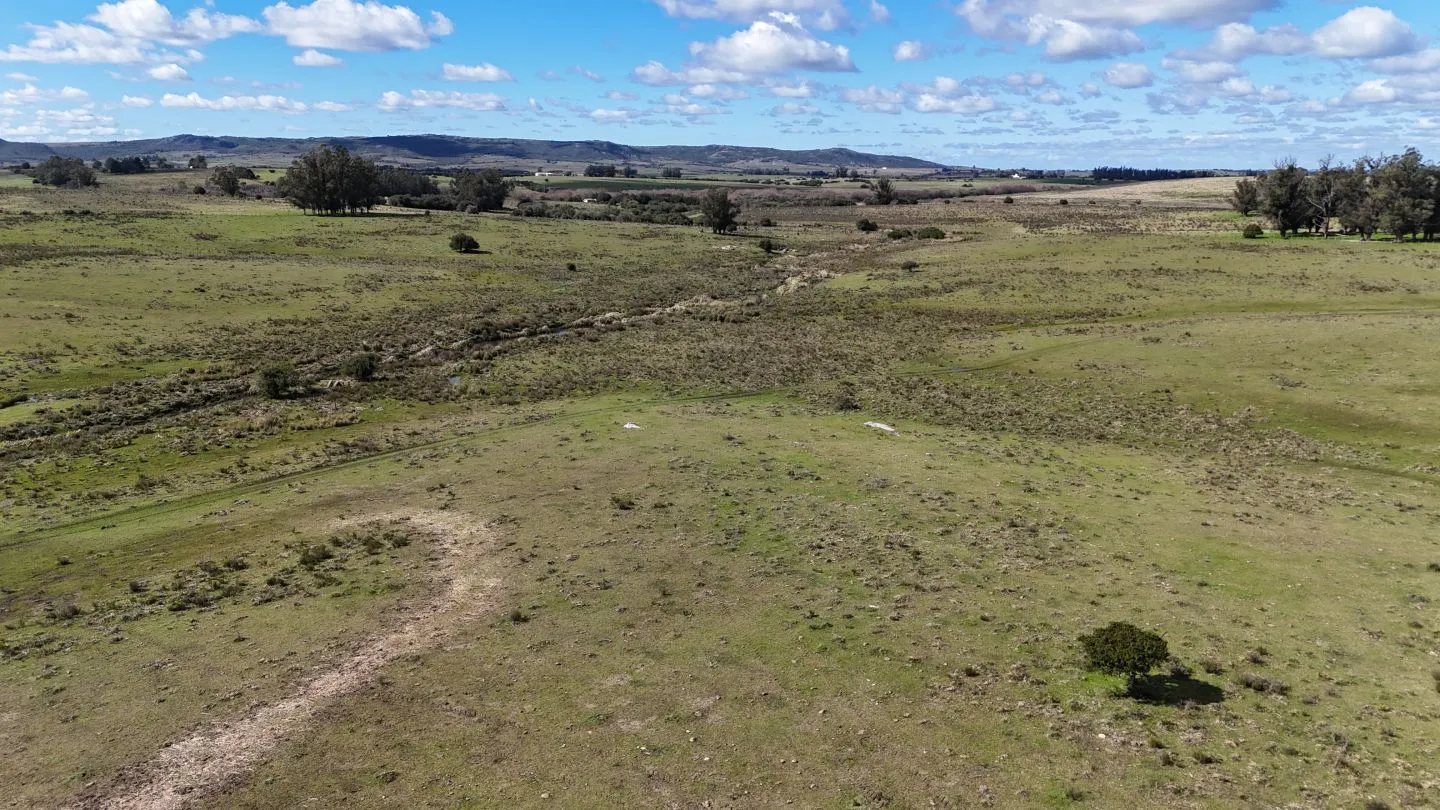 Campo en venta de 57 ha en Paso Dutra Maldonado Uruguay. — foto 5
