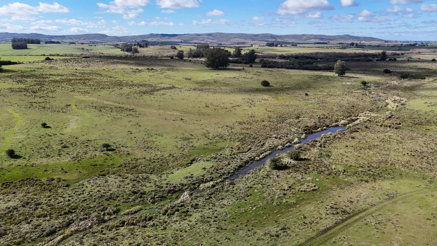 Campo en venta de 57 ha en Paso Dutra Maldonado Uruguay. — foto 7