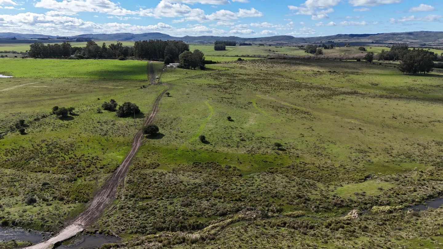 Campo en venta de 57 ha en Paso Dutra Maldonado Uruguay. — foto 8