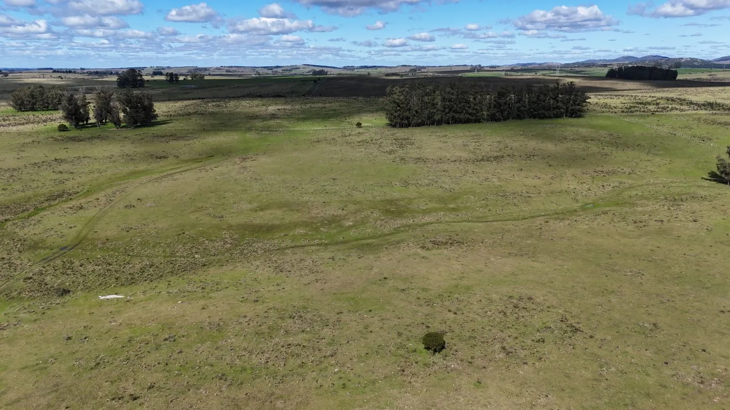 Campo en venta de 57 ha en Paso Dutra Maldonado Uruguay. — foto 9