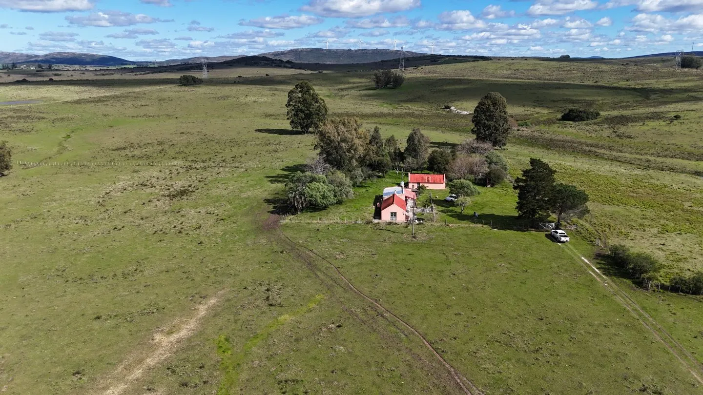 Campo en venta de 57 ha en Paso Dutra Maldonado Uruguay. — foto 10