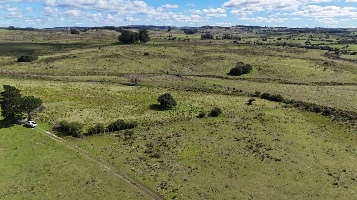Campo en venta de 57 ha en Paso Dutra Maldonado Uruguay. — foto 11
