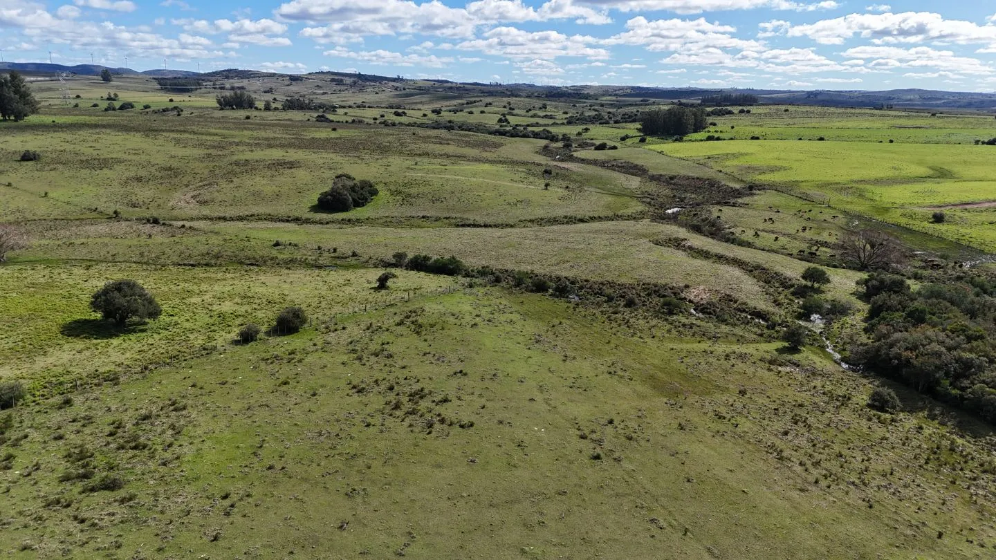 Campo en venta de 57 ha en Paso Dutra Maldonado Uruguay. — foto 12