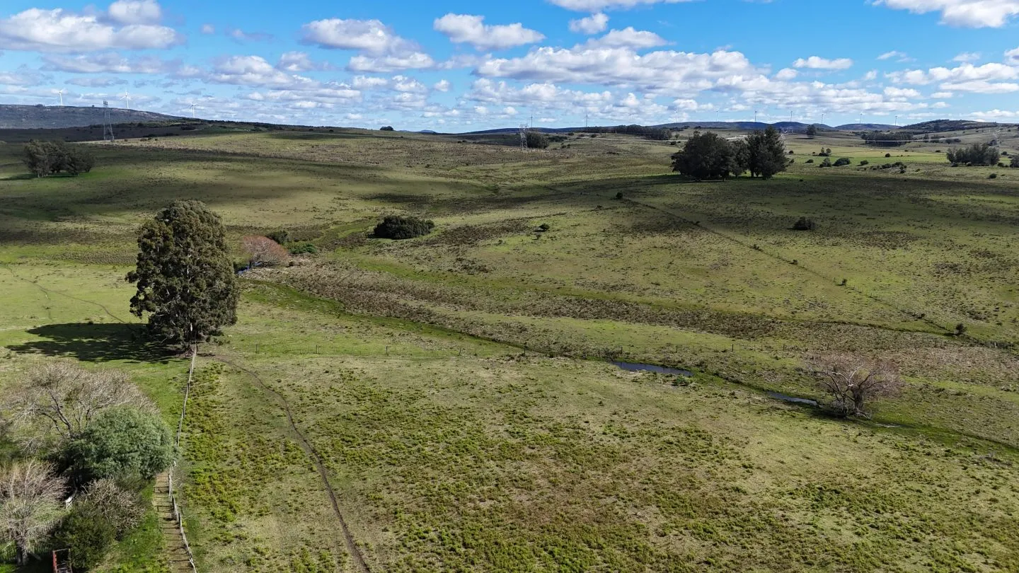 Campo en venta de 57 ha en Paso Dutra Maldonado Uruguay. — foto 13
