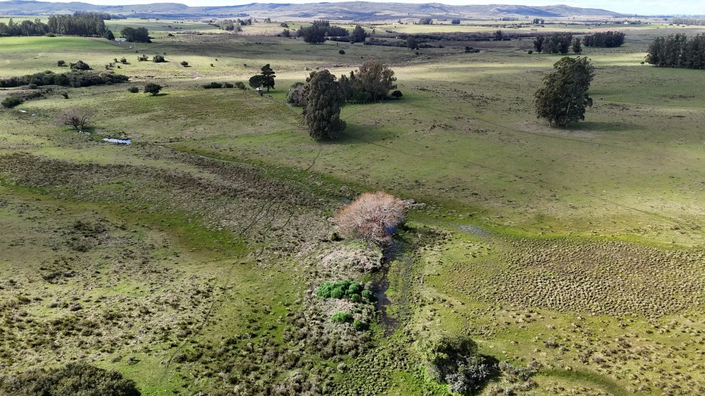 Campo en venta de 57 ha en Paso Dutra Maldonado Uruguay. — foto 14