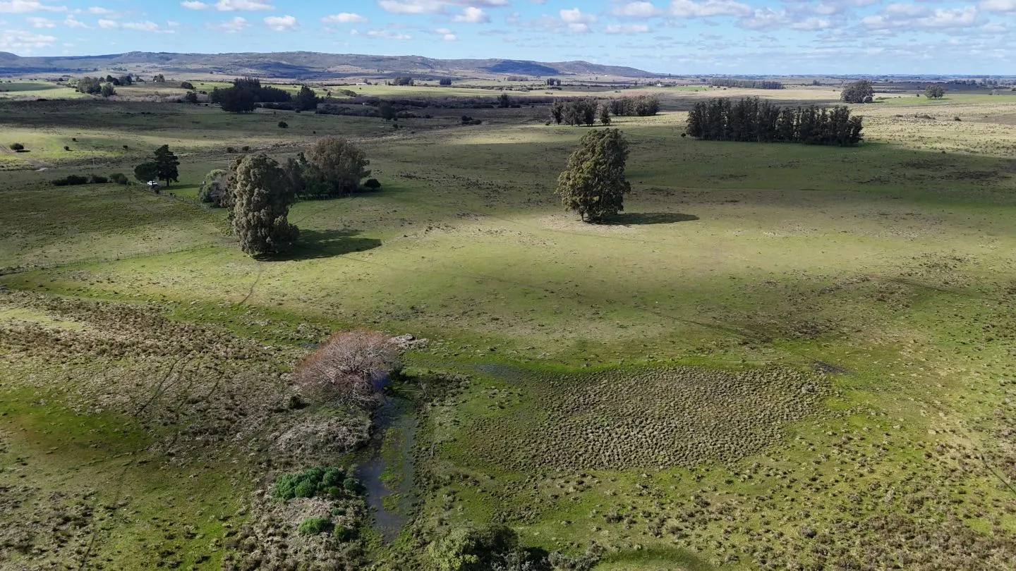 Campo en venta de 57 ha en Paso Dutra Maldonado Uruguay. — foto 15