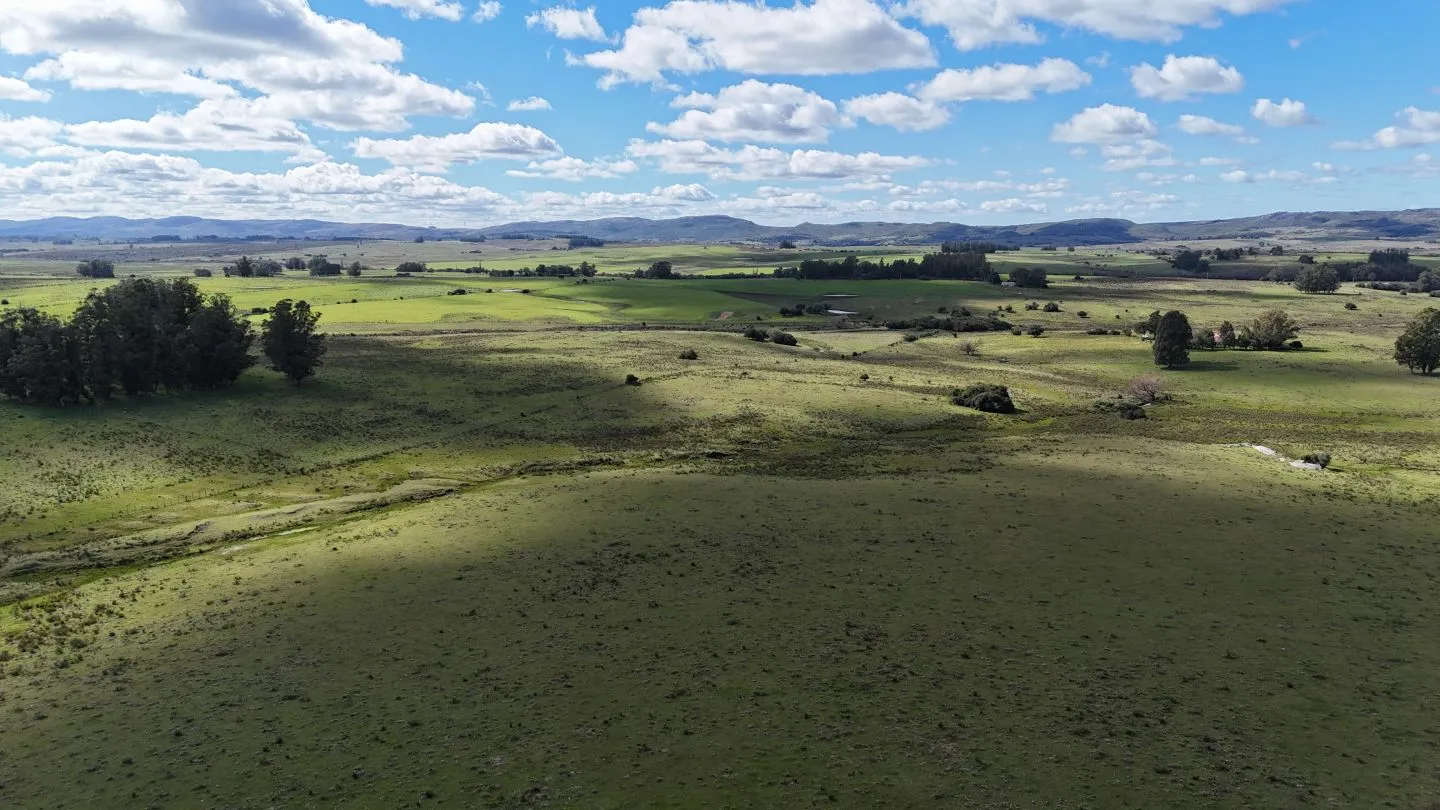 Campo en venta de 57 ha en Paso Dutra Maldonado Uruguay. — foto 17